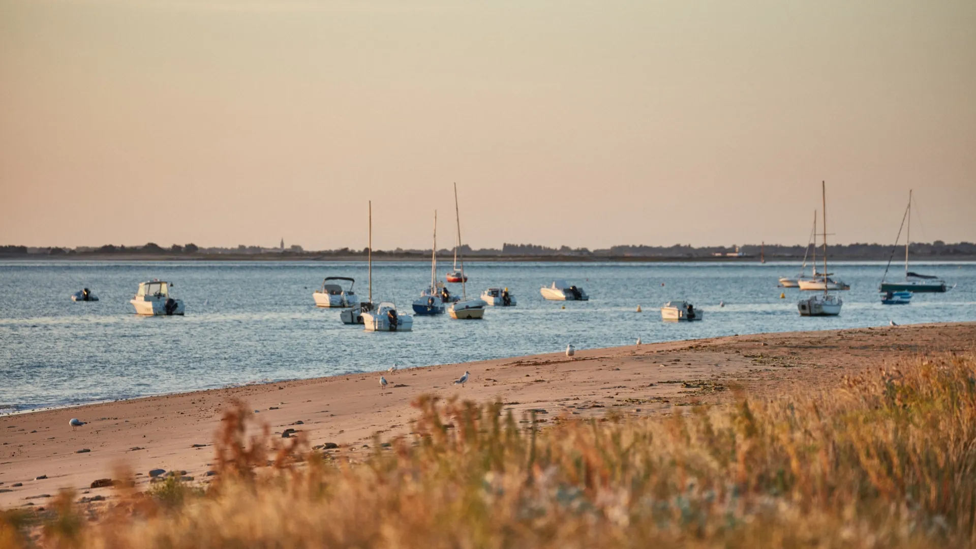 ile de ré