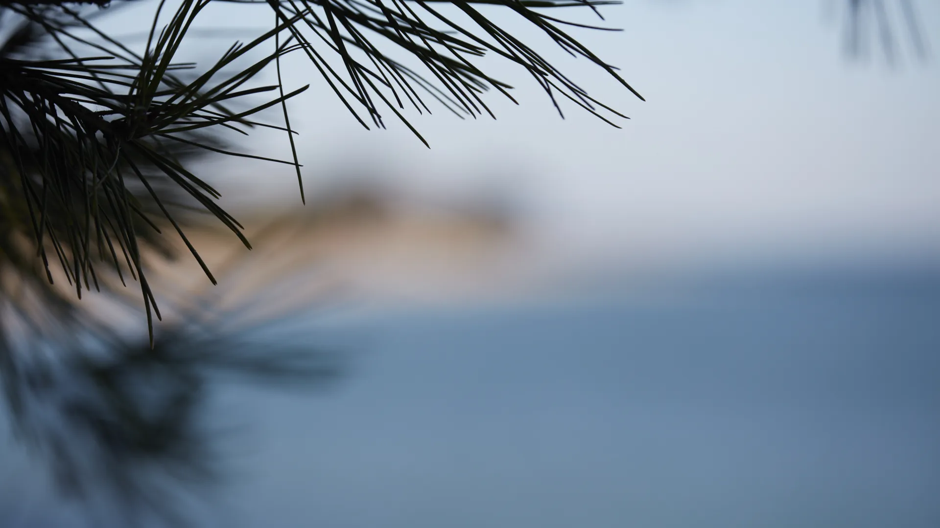 Île de Ré camping Charente Maritime